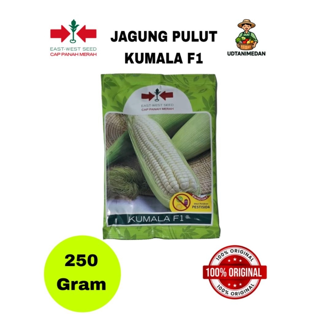 Benih Jagung Ketan Kumala F1 isi 250 gram