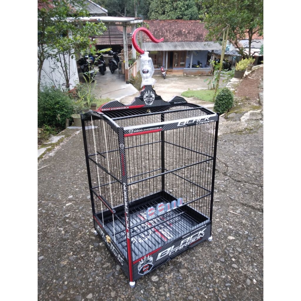 sangakar ebod jaya no 2