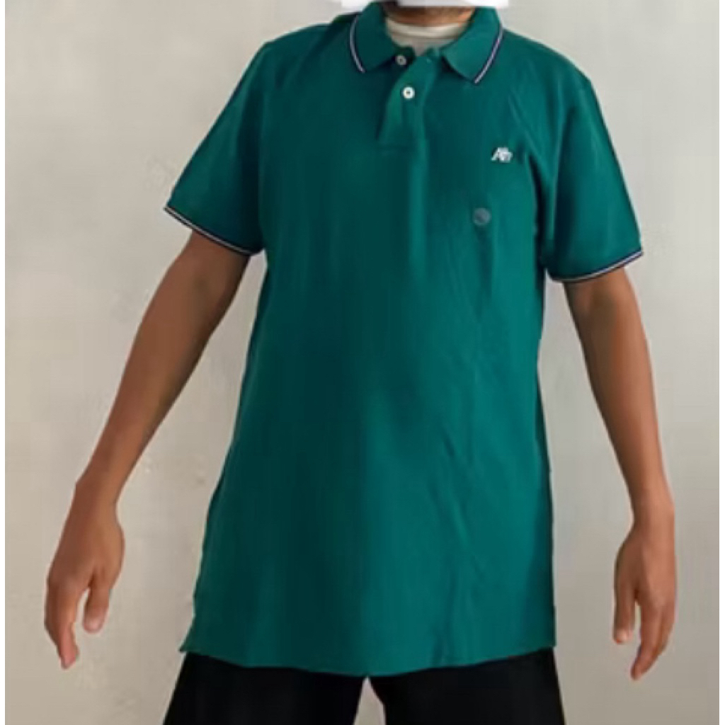 Polo Shirt - Aeropostale (L)