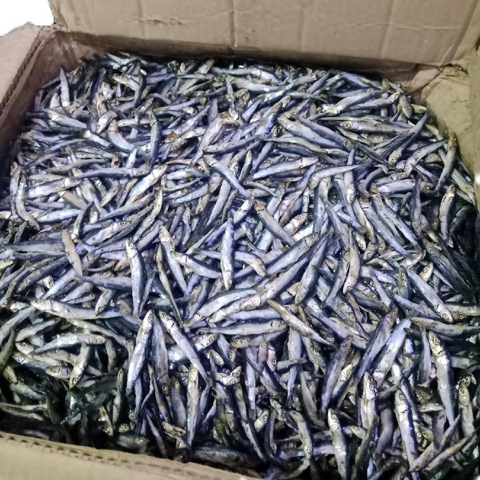 ikan asin teri batu Ikan Teri Hitam halus 250gram Ikan Asin Teri Batu Teri Karang Asin