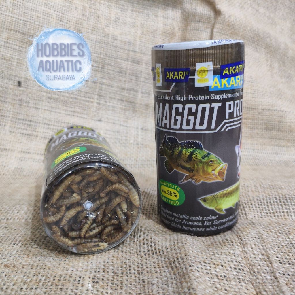 Akari Maggot Pro 40 gram Pakan Ikan Hias Predator Louhan, Arwana , Pbass dll