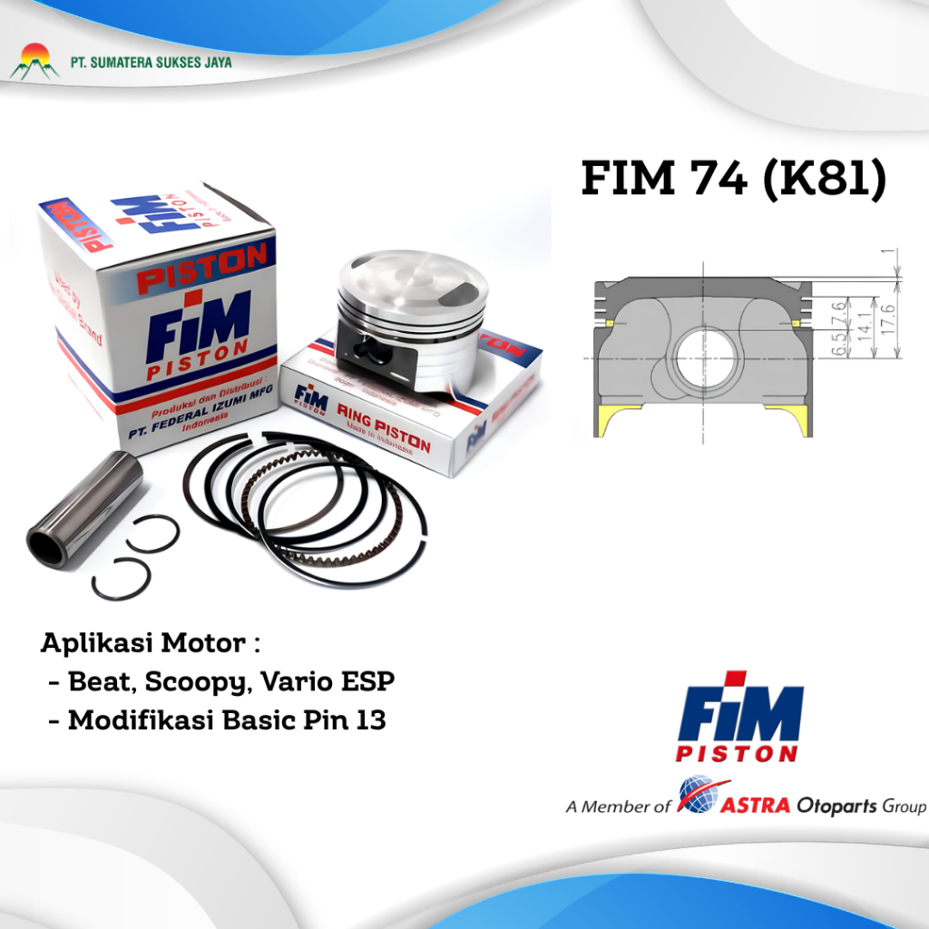 PISTON FIM 74 Beat, Scoopy, Vario Esp, (K44,K48,K81) PAKET PISTON SET PISTON MOTOR