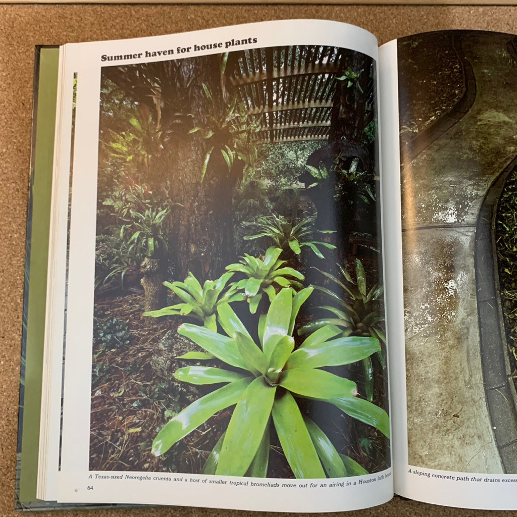 The life time encyclopedia of gardening | Easy Garden