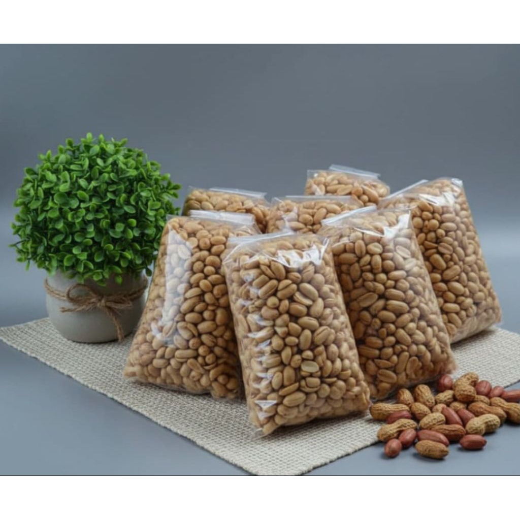 Kacang bawang, kacang import, kacang bawang gemuk, kacang bawang besar