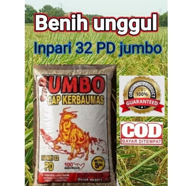 Bibit Benih Padi Inpari 32 PD jumbo Berkualitas Super Kemasan 5Kg