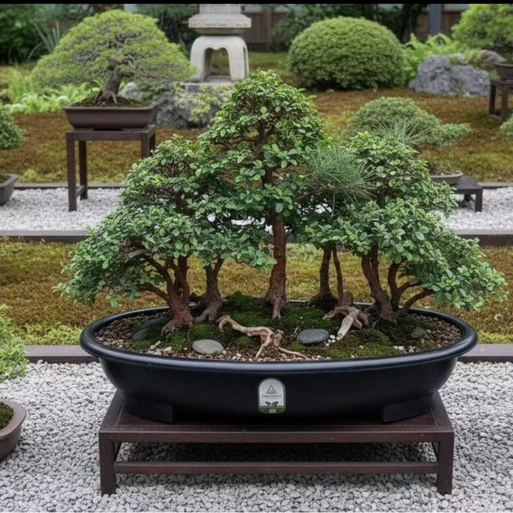 40cm Pot Tanaman Bonsai Premium Kokoh Pot Tanaman Hias Pot pohon Bonsai