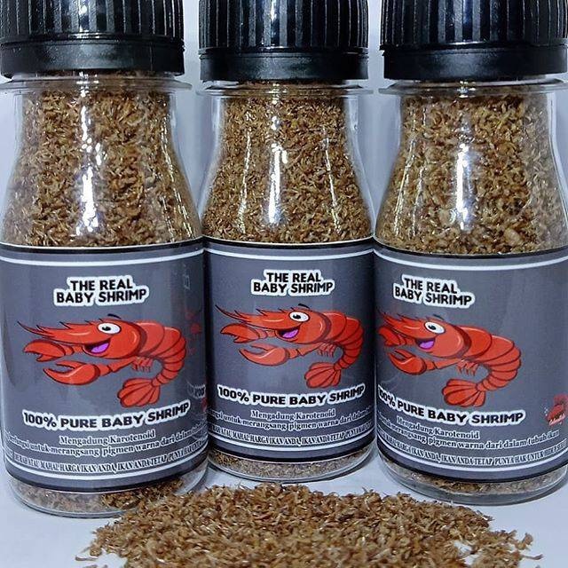 The real baby shrimp / pakan cupang baby shrimp