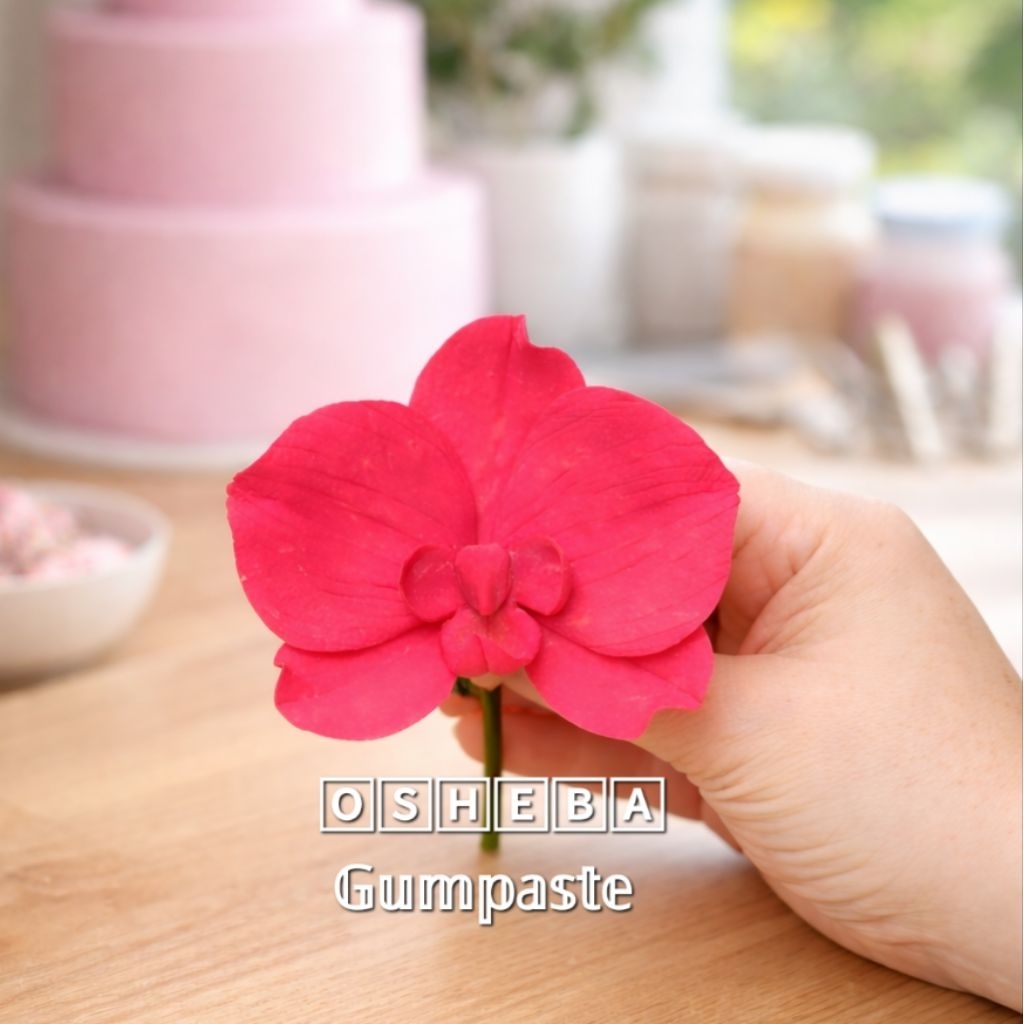 [osheba] gumpaste bunga bs anggrek bulan MOTH 11 warna merah
