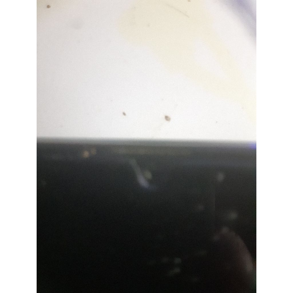 kamera depan samsung a30s a307 copotan