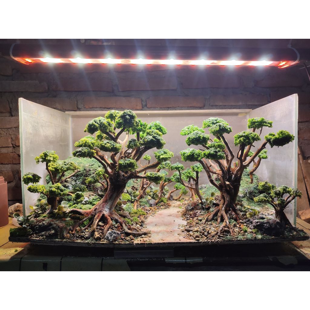 hardscape forest jungle