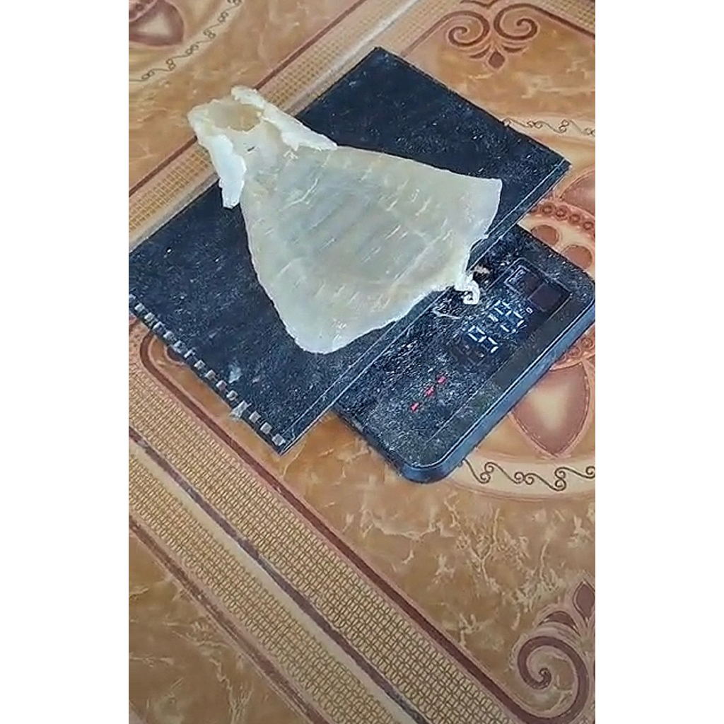 gelembung hipio angkue