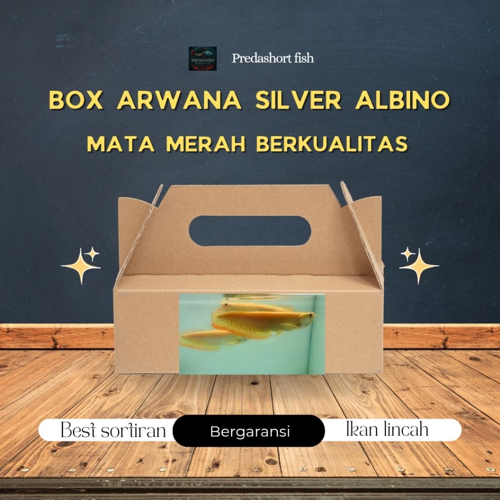Box Kardus isi Arwana silver albino berkualitas bergaransi