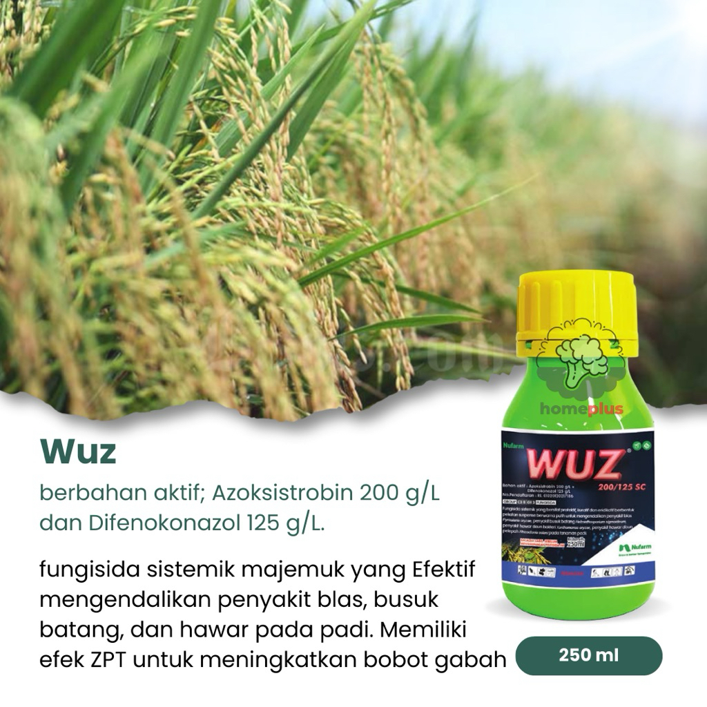 Fungisida Sistemik Wuz Mengendalikan Jamur Blast Busuk Bantang Hawar Daun