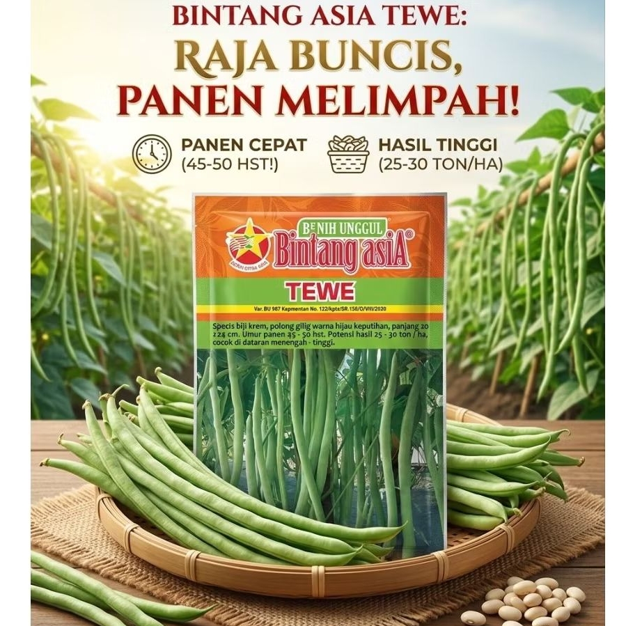 Benih Buncis TEWE 500 Gram BINTANG ASIA