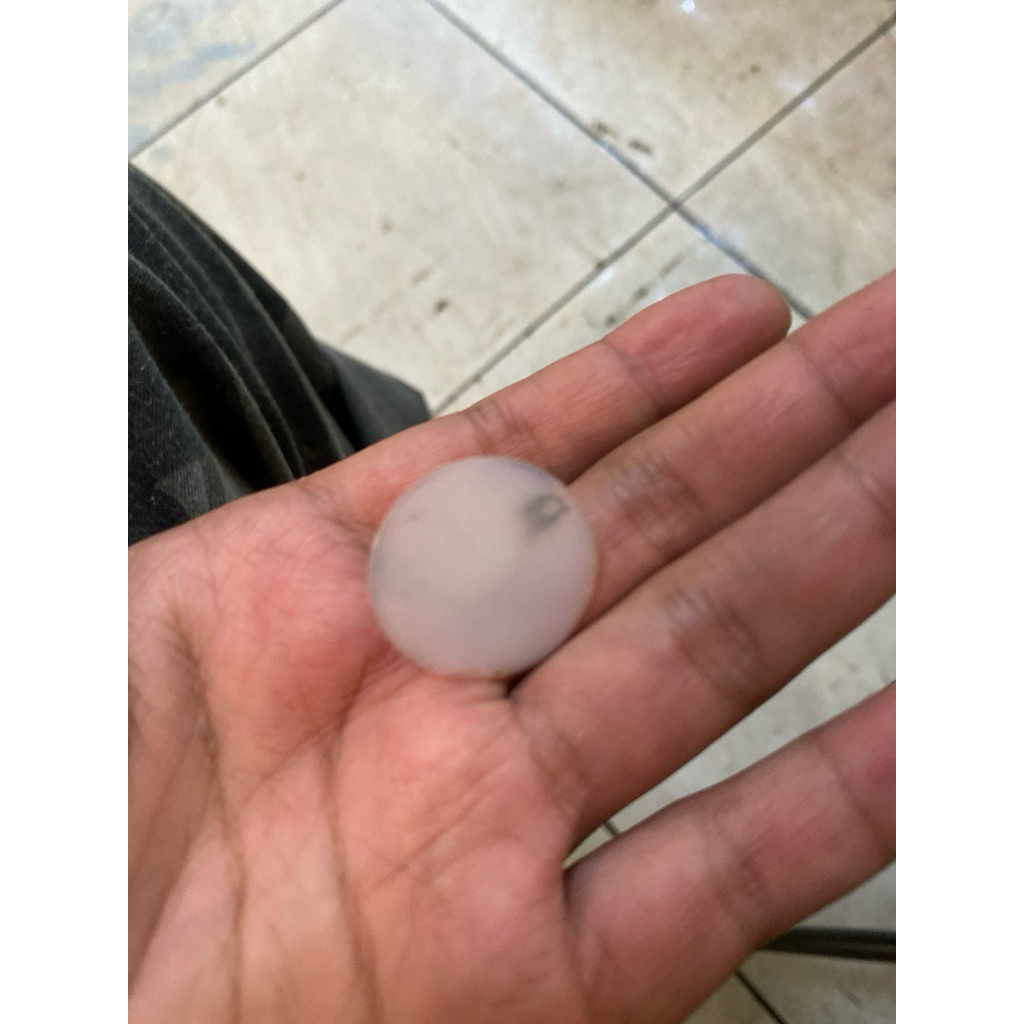 stiker asiatica high fin (HF)