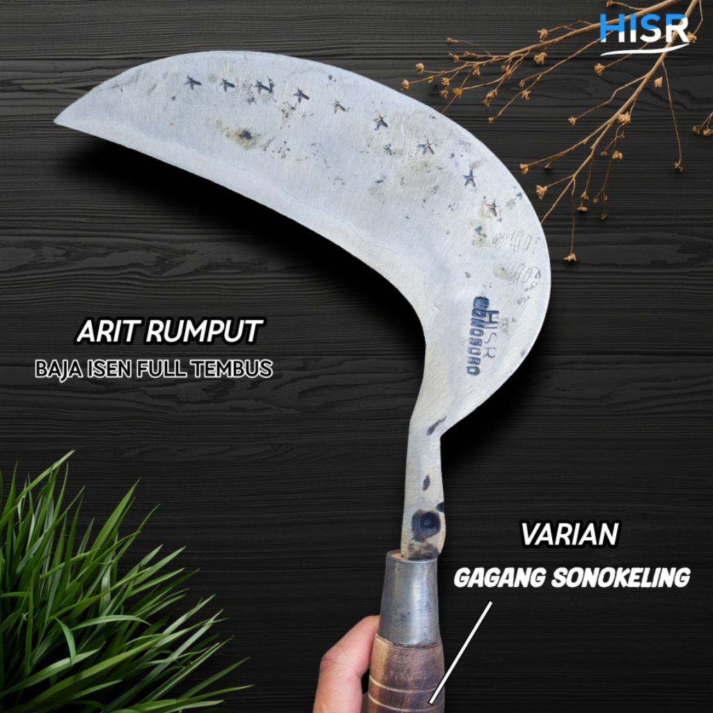 Arit rumput baja isen cantheng baja lapis 2 full tembus berkualitas