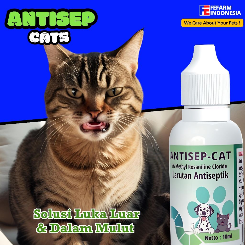 Obat Kucing Anjing Sariawan Bau Luka Mulut Terbukti Ampuh FEFARM