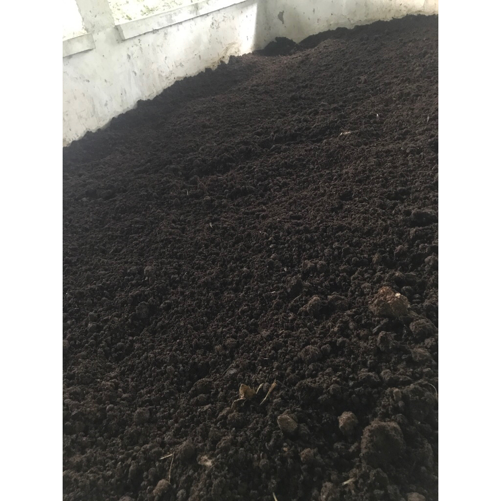 pupuk kompos kohe sapi