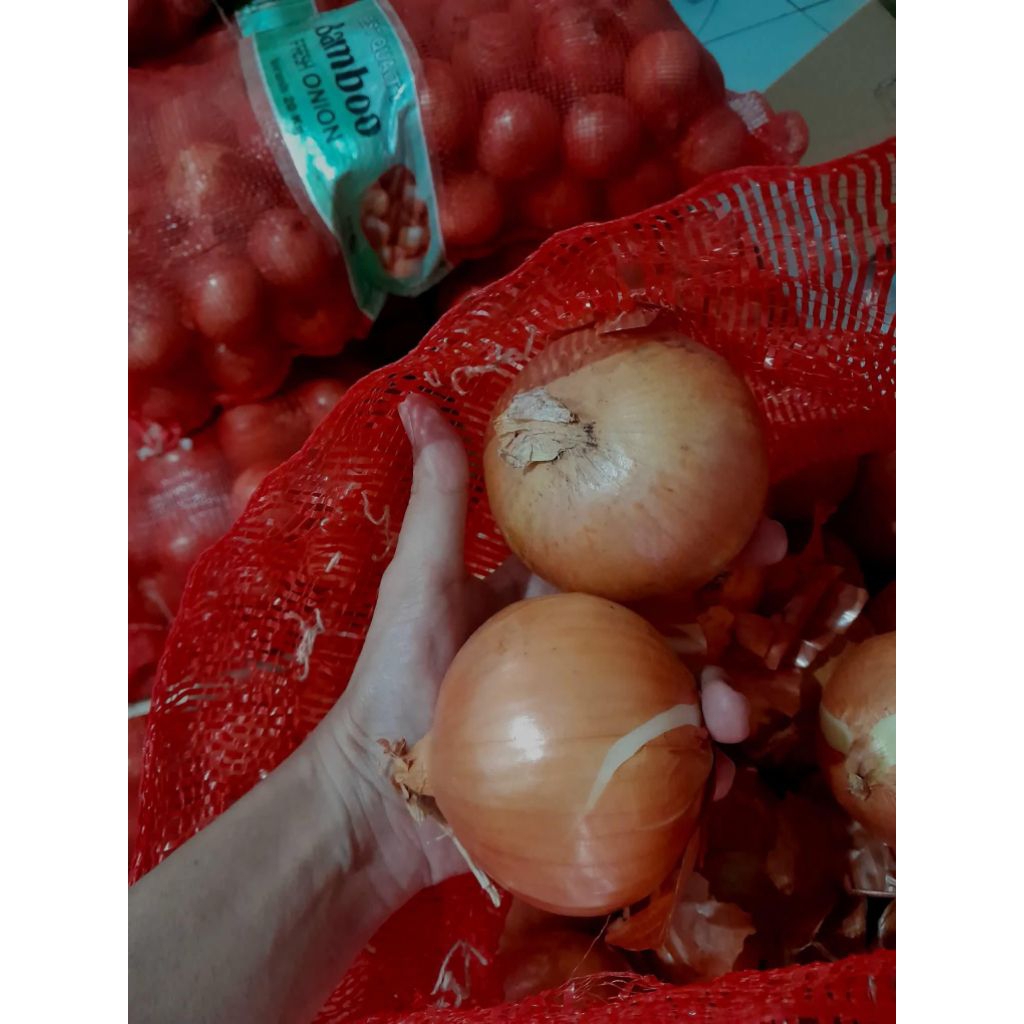Bawang Bombay 20kg