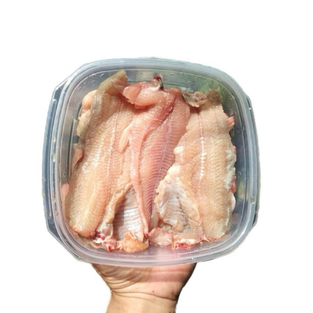 Lele fillet 1kg / daging lele / lele fillet frozen