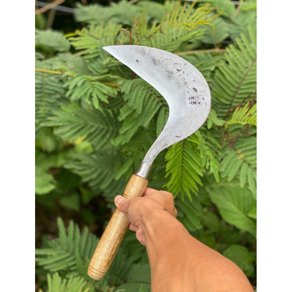 Arit Rumput Dewi Cikajangan | Sabit Pisau Rumput Pengaritan