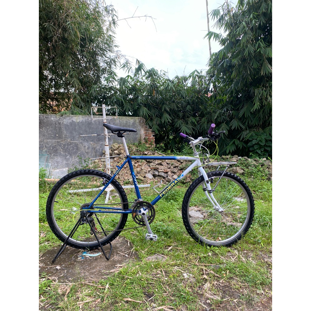 Sepedah Federal Streetcat 550