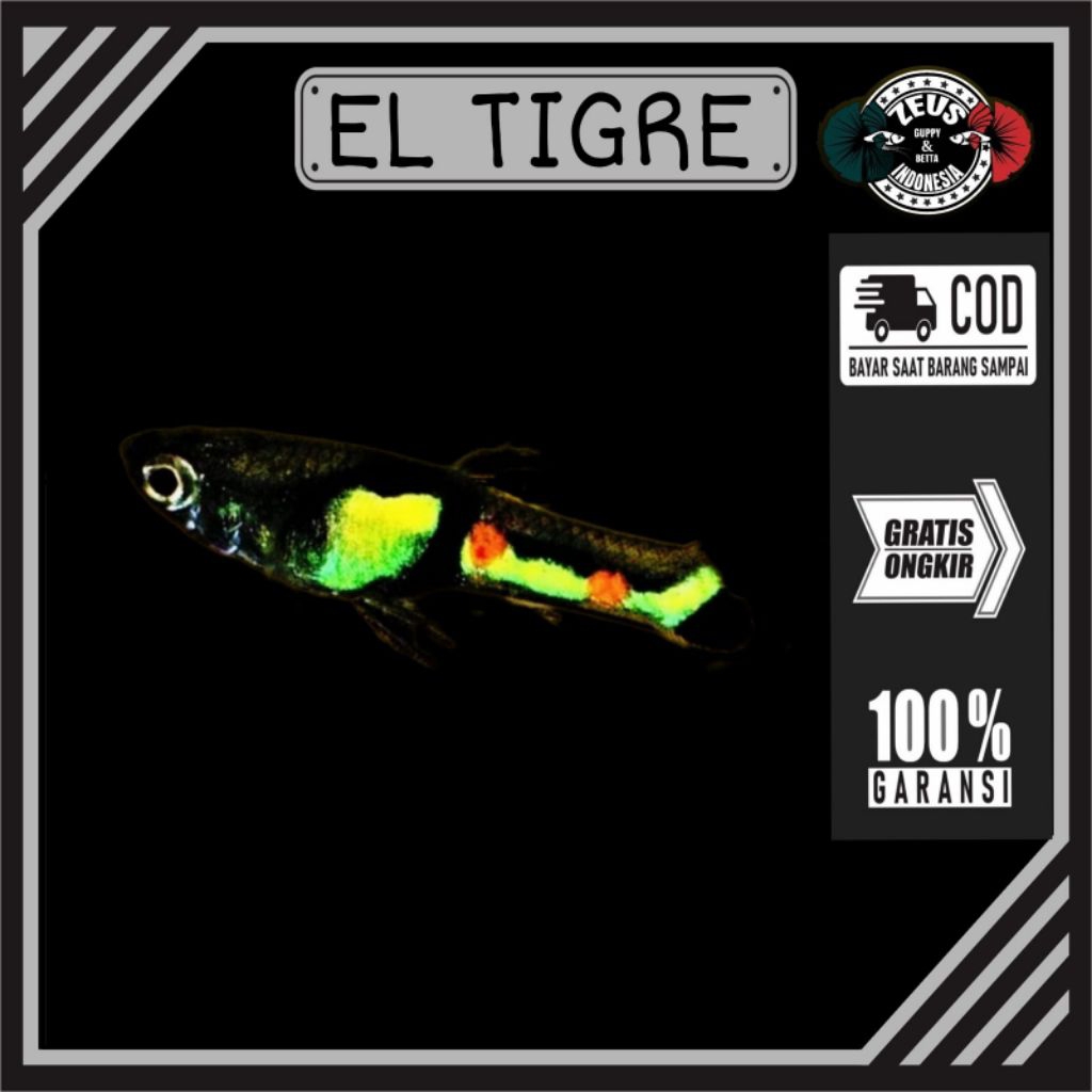 Endler El Tigre