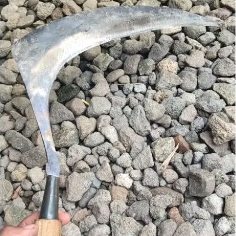 sabit khusus padi tanpa asah, sering di pakai tambah tajam, sabit 2 buaya