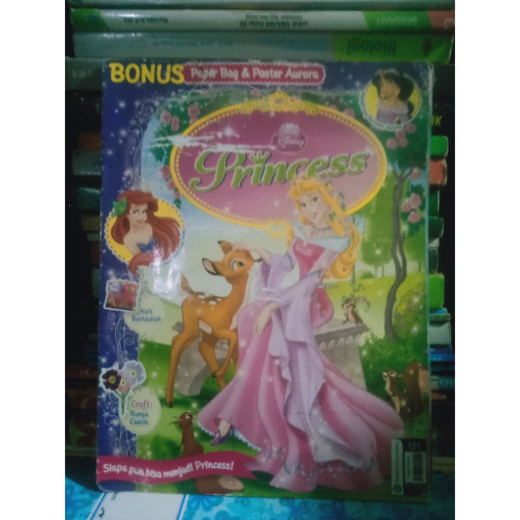 buku majalah Princess