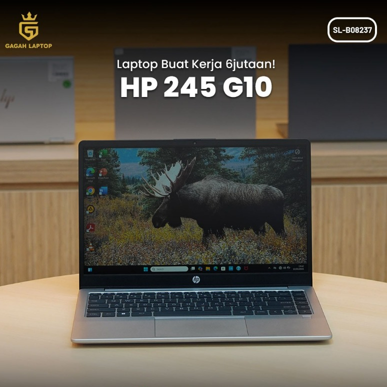HP 245 G10