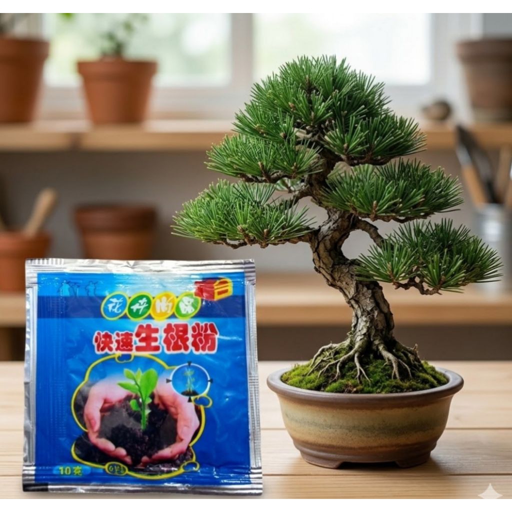 penumbuh akar tanaman root boster obat hormon akar tanaman pupuk bonsai