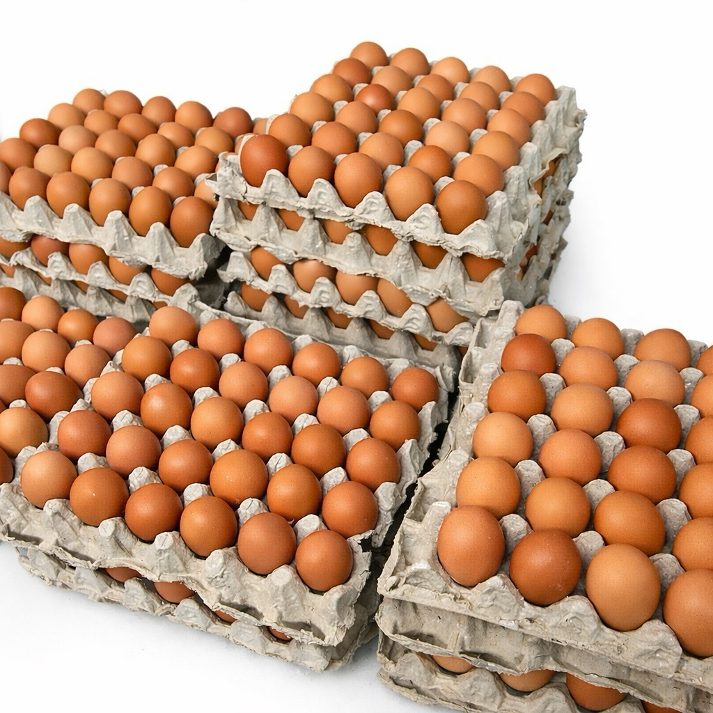 Telur Ayam Negeri 1 kg plus Tray Kertas