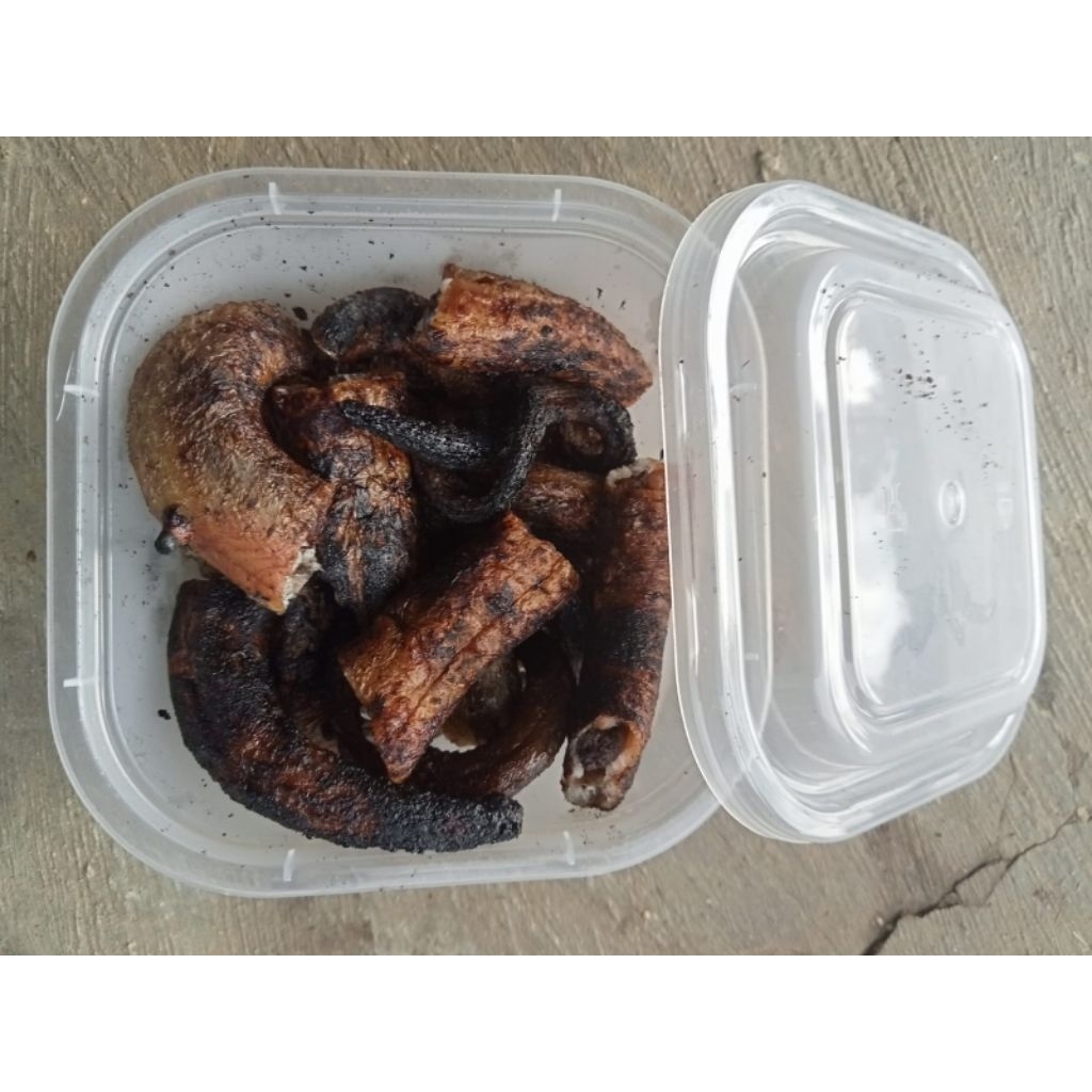 belut bakar umpan mancing gacor