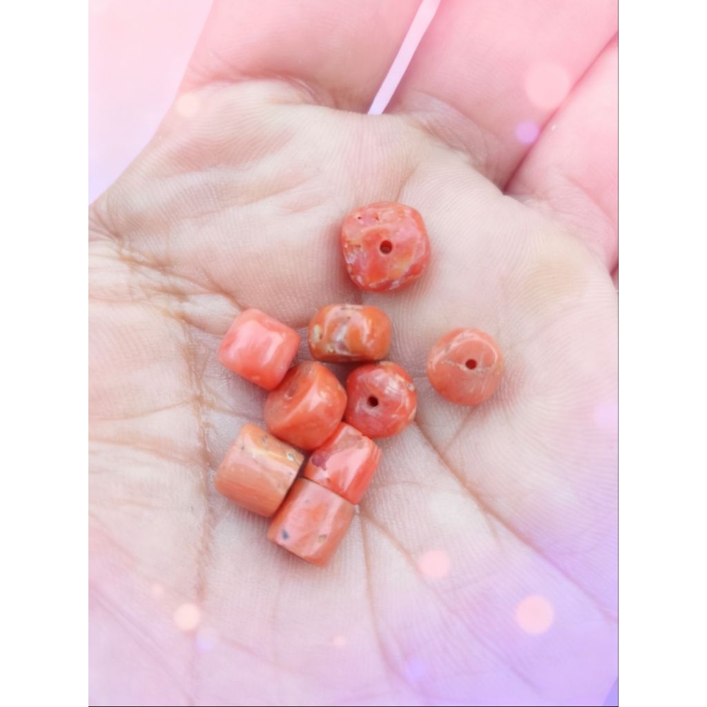 butiran marjan laut merah natural