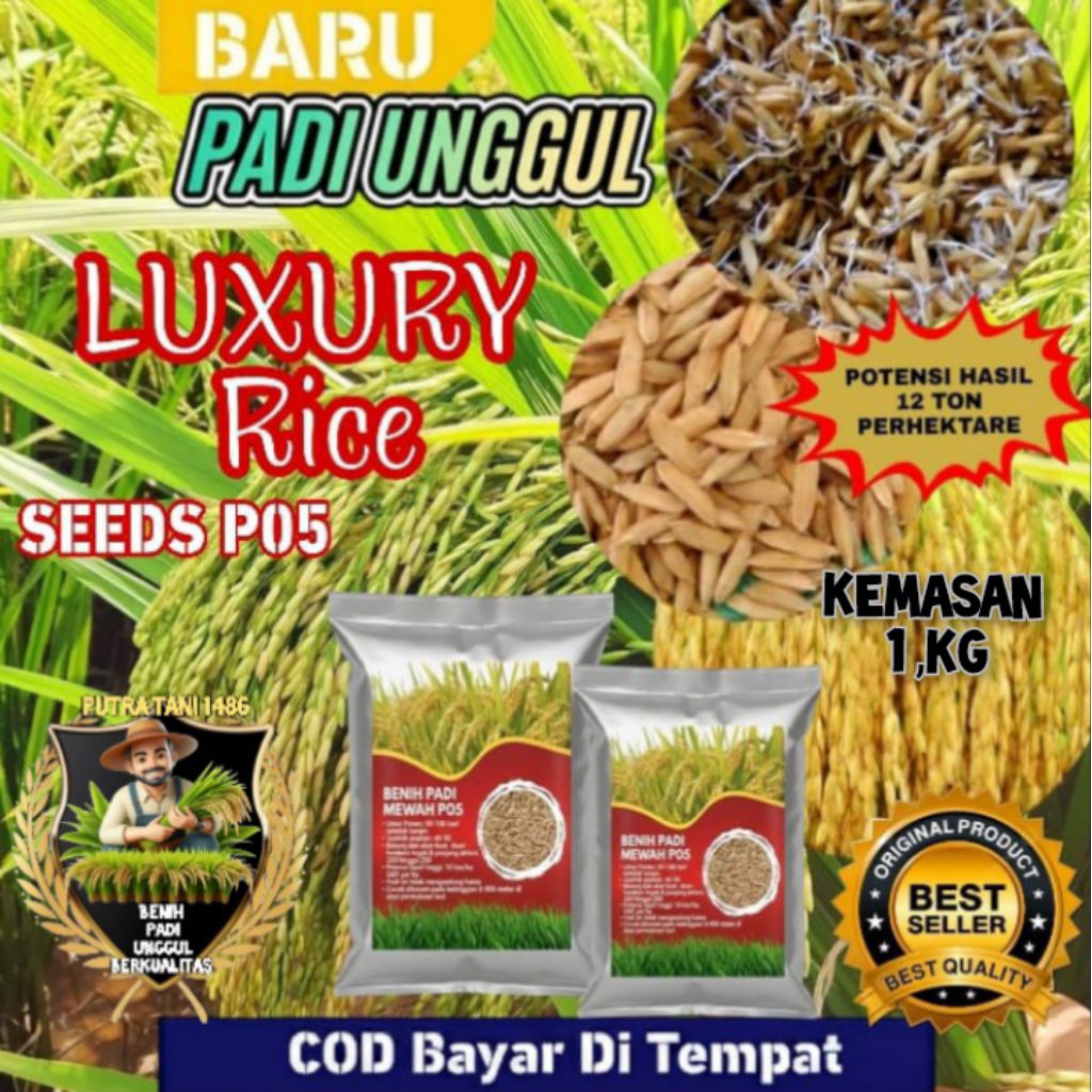 Benih Padi Unggul p ,05 kemasan 1,kg