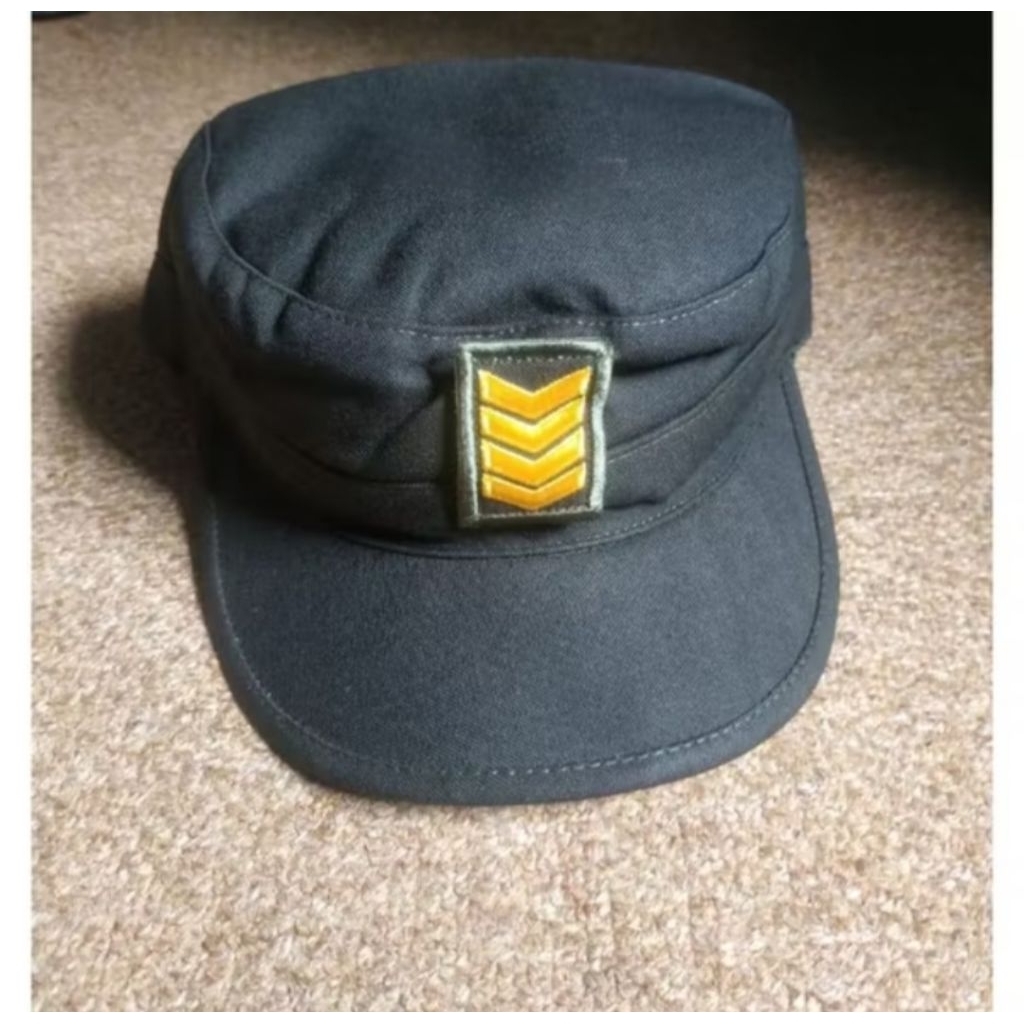 Topi pet PDH topi pet TNI topi jatah PDH TNI