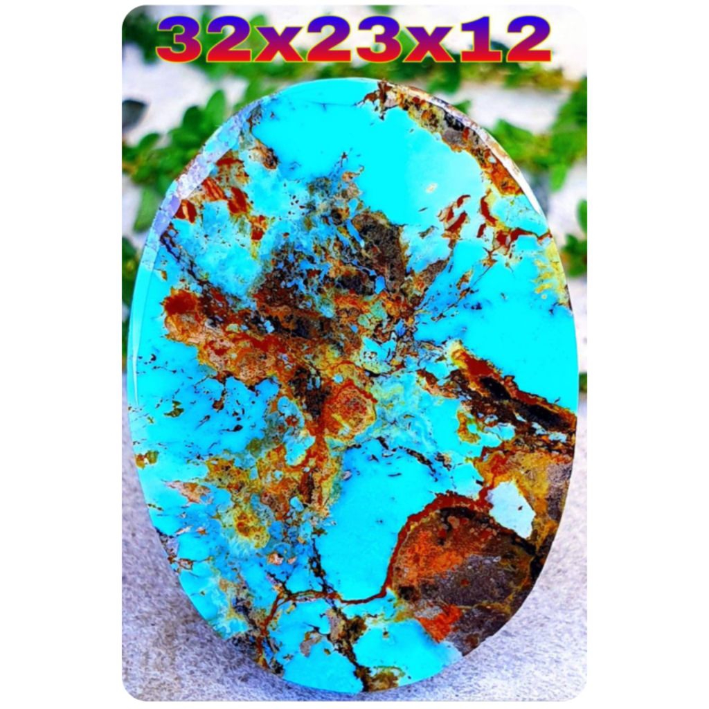 natural pirus Persia jumbo