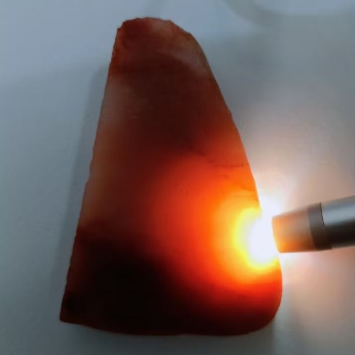 NATURAL BACAN OBI LEMPENGAN TEBAL