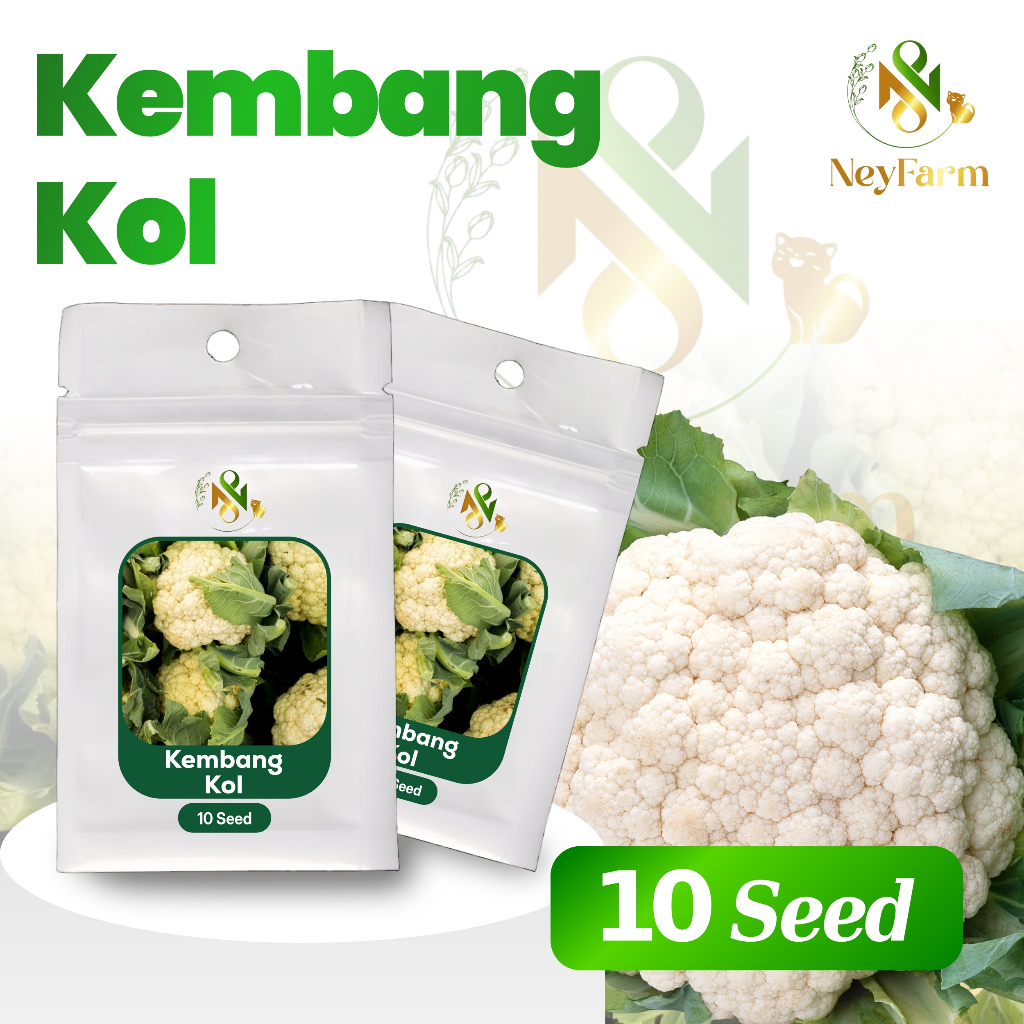 10 Biji Benih Kembang Kol Bunga Kol