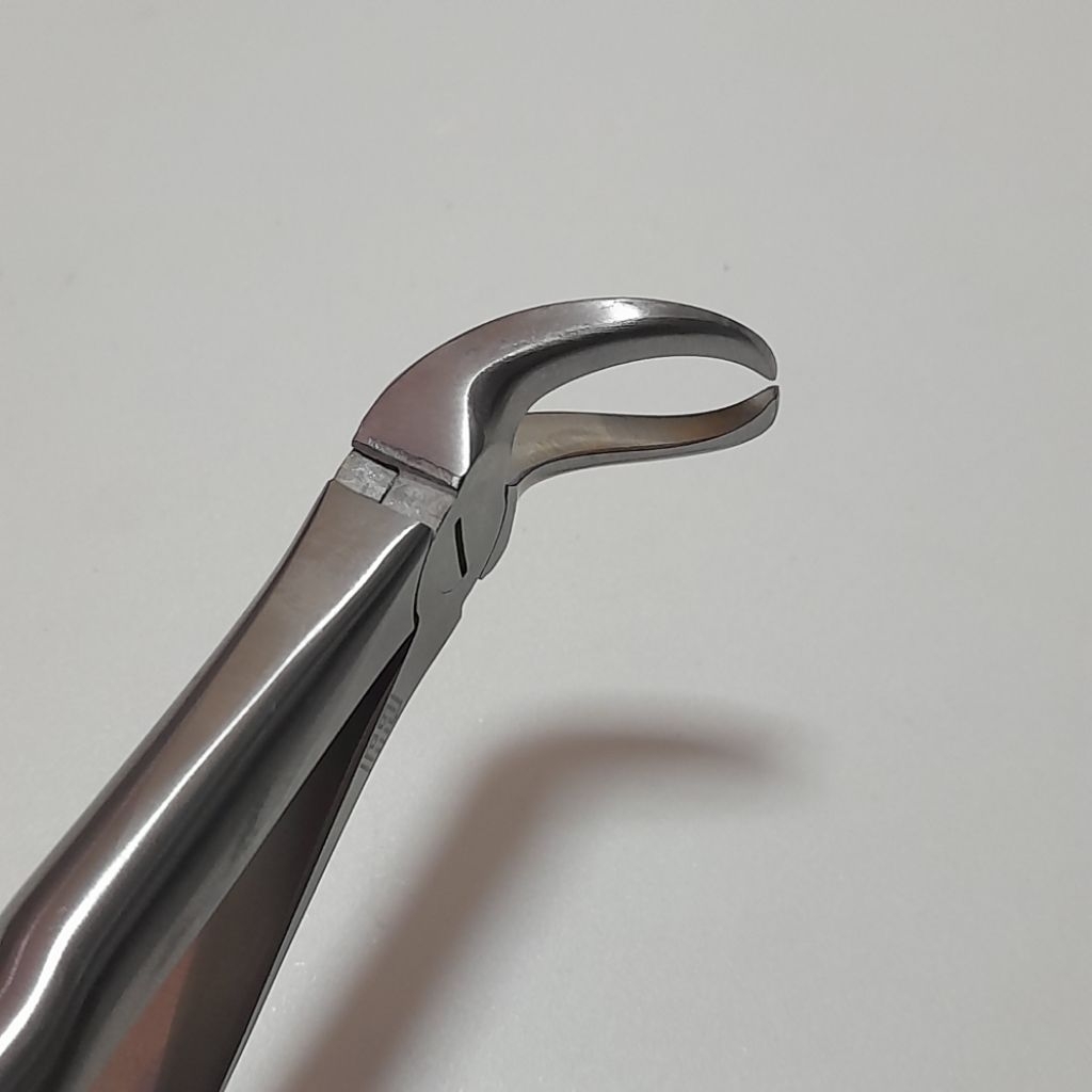 Tang Cabut Gigi Geraham Bawah | Tang Cabut Gigi Cow Horn 87 | Instrumen Dental