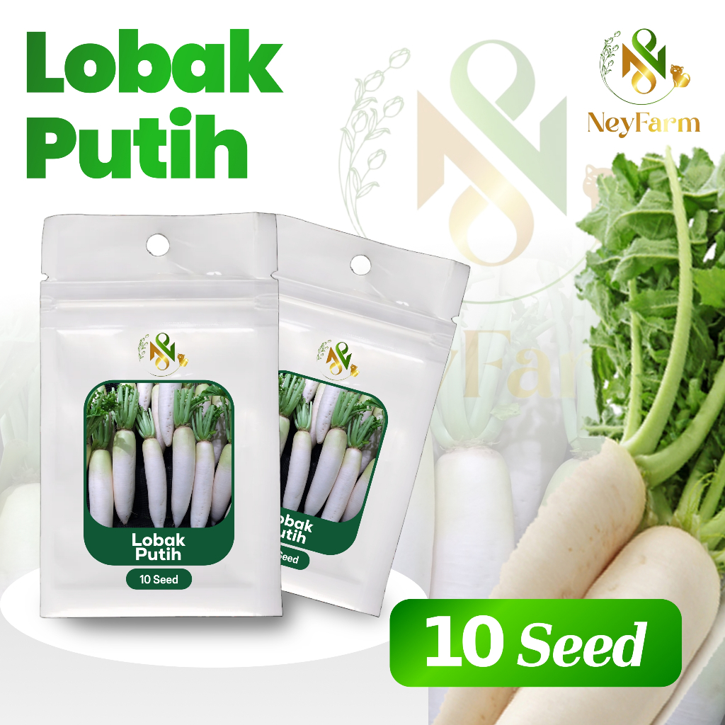 10 Benih Lobak Putih