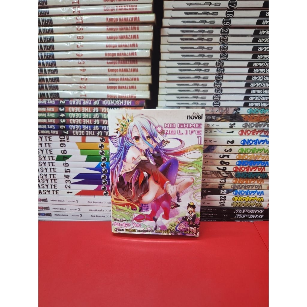 Light Novel No Game No Life NGNL Vol 1