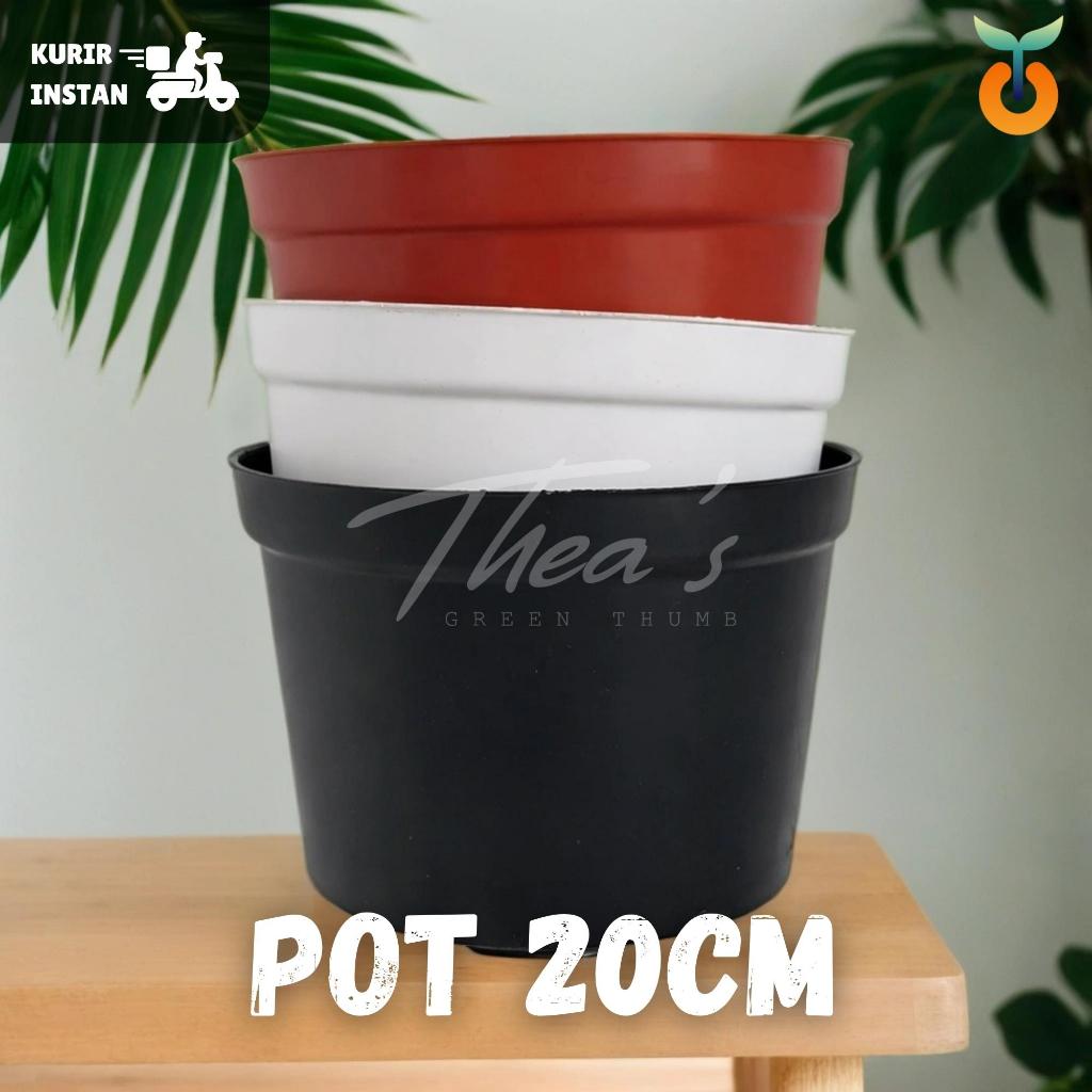 POT PLASTIK 20CM | WARNA HITAM PUTIH TERRACOTTA MERAH BATA | (SUKULEN, KAKTUS, BUNGA TANAMAN LAINNYA