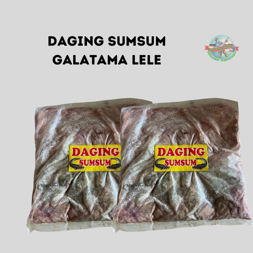 Umpan Daging Sumsum Galatama Lele Siap Pakai