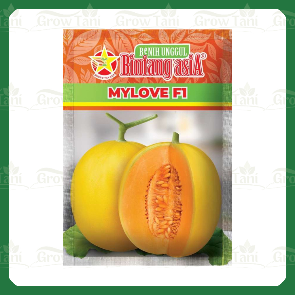 My Love 20 Gr Benih Melon Tahan Virus Golden Bintang Asia Eksis