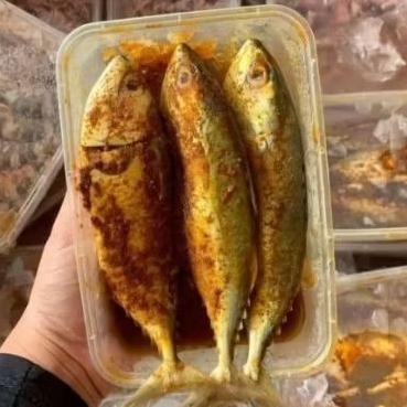ikan kembung marinasi/bumbu kuning
