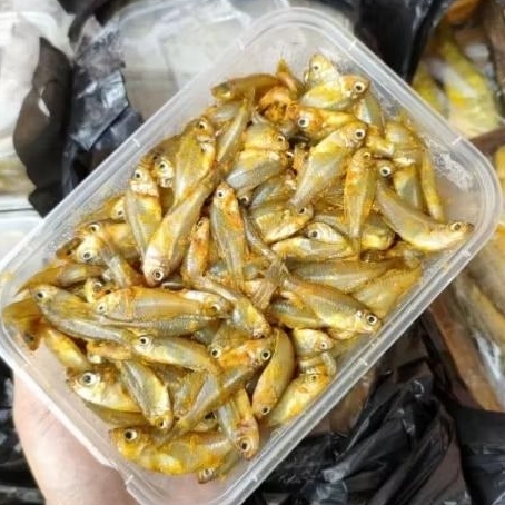 ikan wader bumbu kuning/marinasi