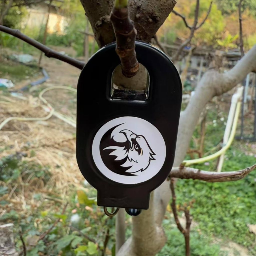 Perangkap Otomatis Jerat Burung Ayam Hutan Ruak Puyuh Pengerat Simple Trap Outdoor