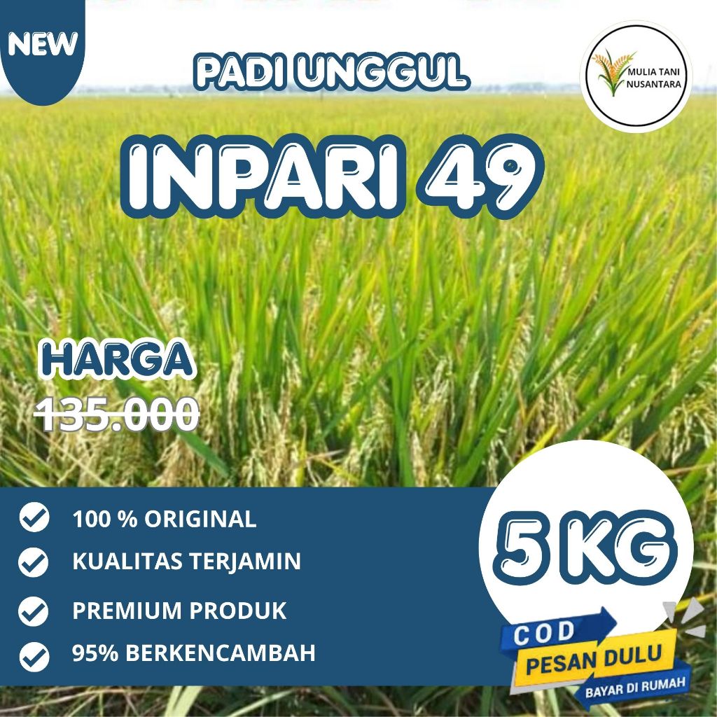 Benih Padi Unggul Terbaru INPARI 49 JEMBAR