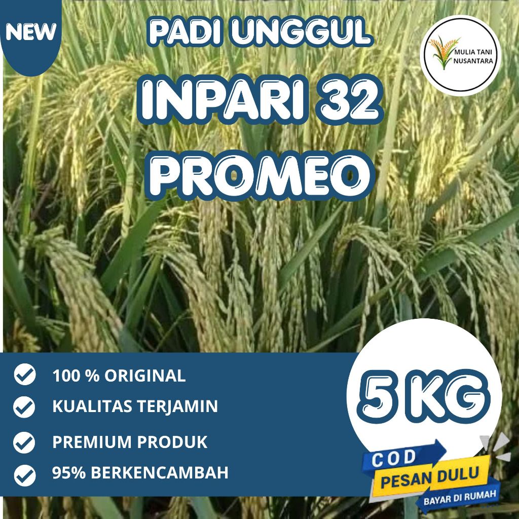 Benih padi inpari 32 PROMEO 5kg bersertifikat
